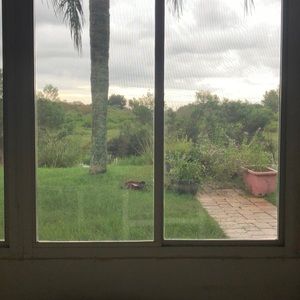 Meet your Posher, Luisa